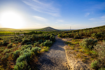 Fototapeta na wymiar Desert Hiking Trail in the Hills