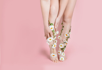 Legs in flowers camomiles on a pastel background. The concept of pain, swelling of the legs, varicose veins of pregnant women, laser hair removal