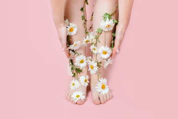 Legs in flowers camomiles on a pastel background. The concept of pain, swelling of the legs, varicose veins of pregnant women, laser hair removal