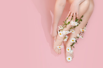 Legs in flowers camomiles on a pastel background. The concept of pain, swelling of the legs,...