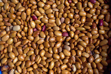 Fondo de frijol amarillo y morado