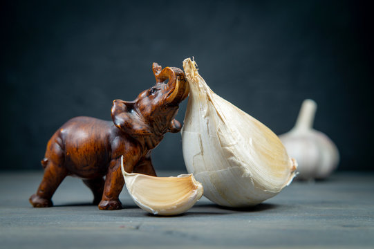 Small elephant figure and garlic head in close-up