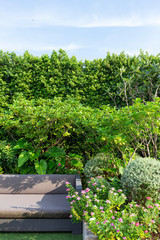 Modern Sofa and furniture on rooftop garden.