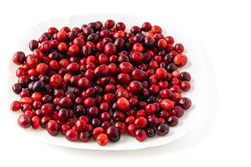 Cranberries. Close up of fresh, ripe, organic cranberries on a white plate with white background, isolated, copy space