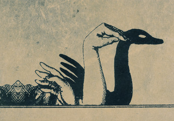 影絵 白鳥