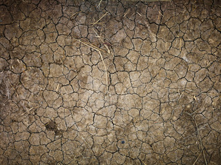top view land cracked use for background or wallpaper