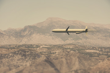 Military cruise missile flies over the mountains. . 3d illustration.