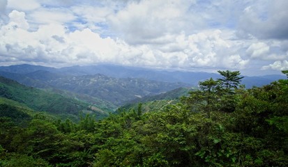 Clouds over jungle in the mountains