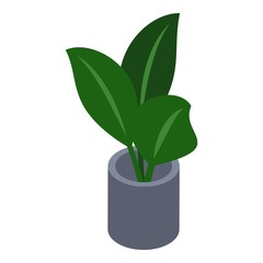 Office plant pot icon. Isometric of office plant pot vector icon for web design isolated on white background