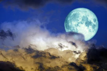 Photo sur Plexiglas Pleine Lune arbre super pleine lune bleue de retour sur silhouette nuage sur ciel coucher de soleil