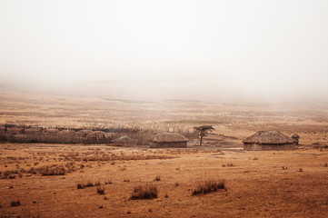 Masai or Maasai Village in empty golden grass plain. Ngorongoro Consevation, Serengeti Savanna forest in Tanzania.
