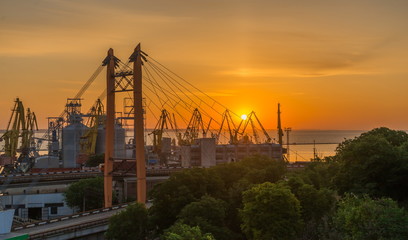 Fototapeta na wymiar Dawn in the Odessa Commercial Port, Ukraine