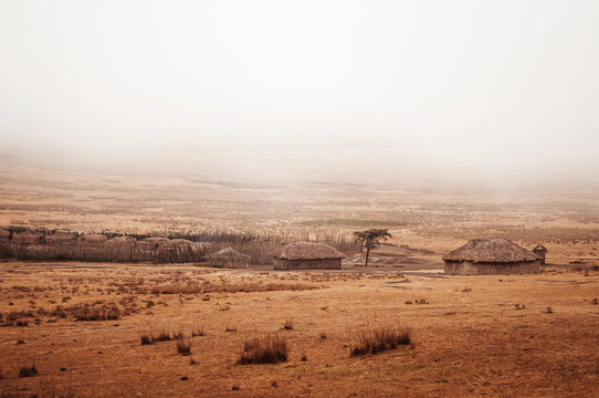 Masai or Maasai Village in empty golden grass plain. Ngorongoro Consevation, Serengeti Savanna forest in Tanzania.