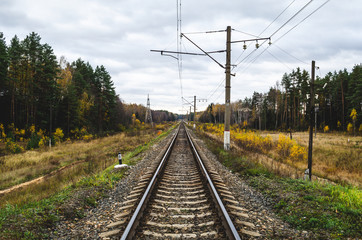 Fototapeta na wymiar Railway track in the fall. Railroad surrounded by autumn forest.