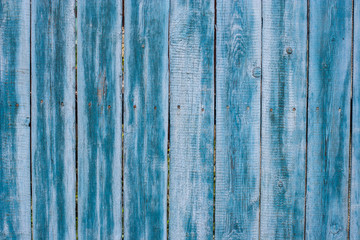 Fototapeta na wymiar Background from old fence boards in blue. The paint is peeling, cracked. Hammered hats of rusty nails stick out.