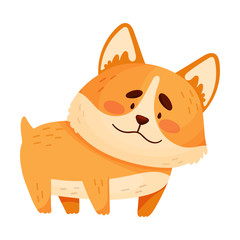 Cute orange corgi. Vector illustration on a white background.