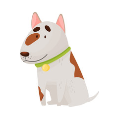 Cute bull terrier. Vector illustration on a white background.