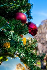 Christmas decoration on tree