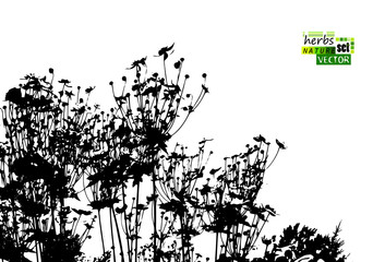 The silhouette of the landscape of nature. Vector illustration