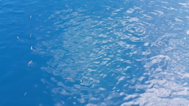 birds eye point of view of tropical scenery, open water with sun reflection