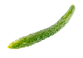 Long green cucumber isolated on a white background