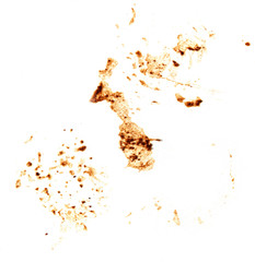 Coffee stains on a white background