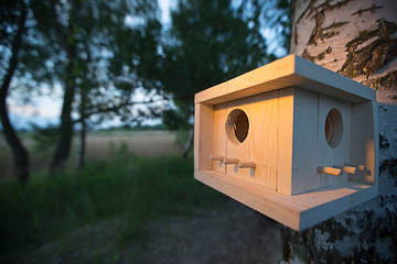 Three wooden box on a white background.
