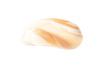 Sea stone from a shell