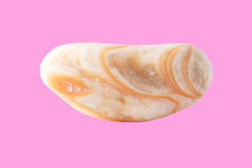 Sea stone from shell isolated on pink background