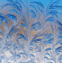 Natural pattern on glass at dawn of the sun.