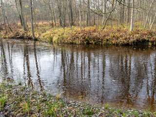 landscape with small and rapid river, naked tree silhouettes, tree leaves on the ground, autumn day