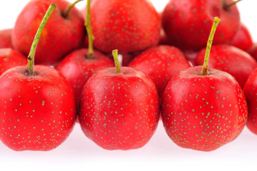 Hawthorn on a white background