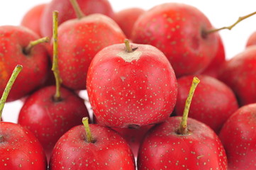 Hawthorn on a white background