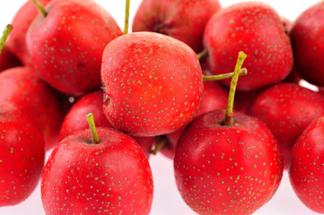 Hawthorn on a white background