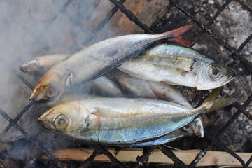 Fresh fish and seafood arrangement displayed on the market.Close-up