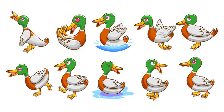 duck vector set clipart design