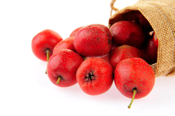 Hawthorn on a white background