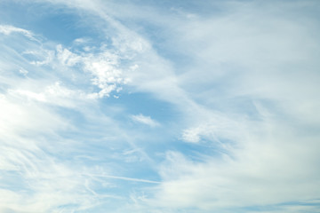 Blue sky background with tiny stratus cirrus striped clouds. Clearing day and Good windy weather - obrazy, fototapety, plakaty