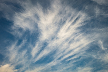 Blue sky background with tiny stratus cirrus striped clouds. Clearing day and Good windy weather