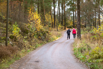 Two people are walking in the autumn park, sporting lifestyle and health.
