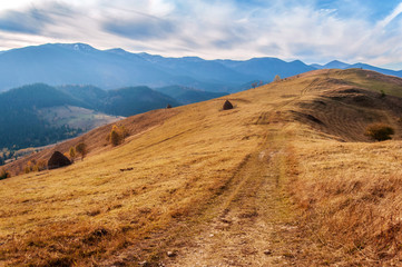 beautiful golden autumn in the mountains. rural road. natural background. autumn landscape