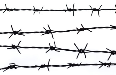 Sharp barbed wire against a white background