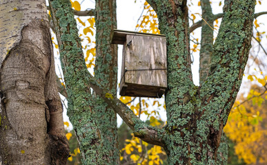 Birdhouse on a tree, bird care. Autumn nature