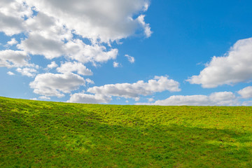 Fototapeta premium Green meadow below a blue cloudy sky sky in sunlight in autumn