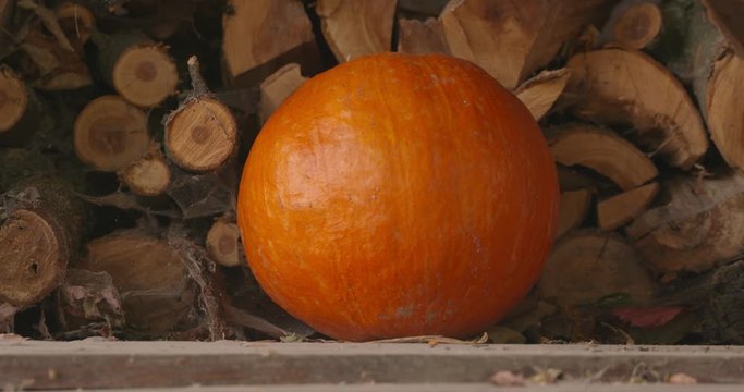 Pumpkins in the yard. Halloween preparation. Fall decoration of the yard.