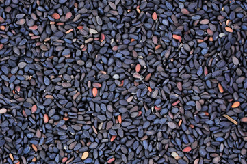 Black sesame seeds on a white background