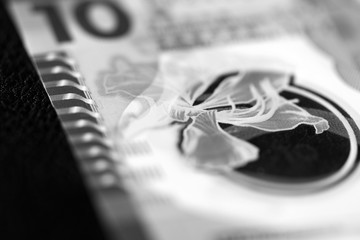 Ten Hong Kong dollars banknote on a dark background close up. Black and white