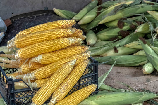 Corn sold on the Street.