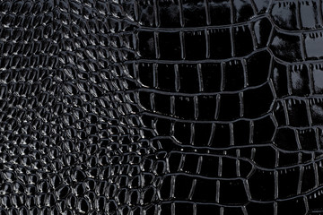 Black patent crocodile leather, background texture. Reptile shiny textile, fabric design.