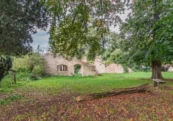 Naklejka premium 4 Ancient ruins of a historical building captured from under the tree canopy